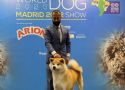 Ikinokoru world dog show Madrid